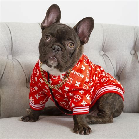 french bulldog apparel for dogs.